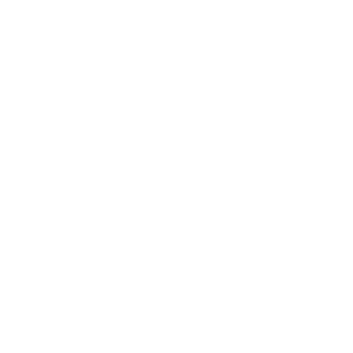 Action